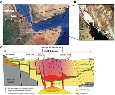 The waterbodies of the halo-volcanic Dallol complex: earth analogs to guide us, where to look for life in the universe